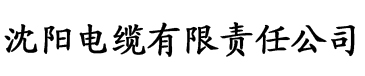 久久人人做人人妻人人玩精品VA电缆厂logo